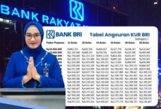 Tabel Angsuran KUR BRI 2026 Pinjaman Rp25 Juta, Tenor 3 Tahun Cicilan Cuma Segini