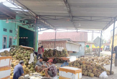 Mengawali 2025 OKKPD Kota Lubuk Linggau Melaksanakan Kegiatan Pengawasan Pangan Komoditas Durian