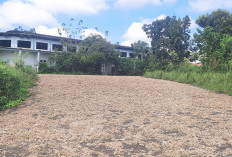 Warga Lubuk Linggau Keluhkan Bau Menyengat, DLH Sebut Ini Penyebabnya