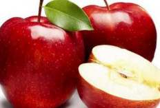 7 Manfaat Mengkonsumsi Buah Apel Setiap Hari Bagi Kesehatan Tubuh