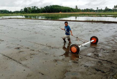 Petani Desa Sidoharjo Musi Rawas Uji Coba Tanam Padi Sistem Tabela