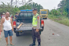 Polisi Ungkap Kronologi Tabrakan Beruntun di Musi Rawas, 1 Korban Jiwa 