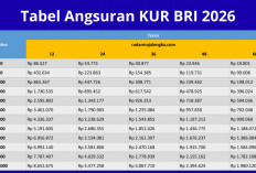 KUR BRI 2026 Tawarkan Pinjaman Rp500 Juta dengan Bunga Ringan, Cek Cicilan dan Syarat Pengajuannya