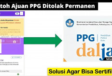 Ajuan Sertifikasi Guru Ditolak oleh LPMP dalam Verifikasi PPG Daljab, Begini Solusinya