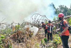Ada Ancaman El Nino, BPBD Musi Rawas Sebut 6 Kecamatan Sangat Rawan Karhutla