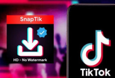 Trik Download Video TikTok Tanpa Watermark Menggunakan SnapTik