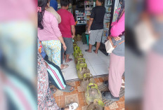 Warga Kesulitan LPG 3 Kg, Begini Penjelasan Pertamina dan Disperindag Lubuk Linggau