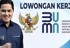 Lowongan Kerja BUMN Februari 2025, Buruan Cek Peluang Karir di Sektor Strategis