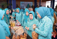 Wali Kota Lubuk Linggau Sebut PKK Garda Terdepan untuk Keluarga, Minta OPD Dukung Program PKK 