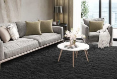 5 Tips Memilih Karpet Baru yang Cocok untuk Ruang Tamu Agar Terlihat Lebih Luas