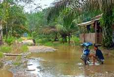 Banjir di Bangun Jaya Musi Rawas Mulai Surut, Warga Waspadai Banjir Kiriman