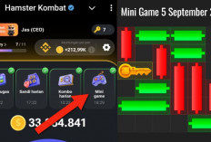 Kunci Mini Game Hamster Kombat Hari Ini Kamis 5 September 2024, Ini Polanya