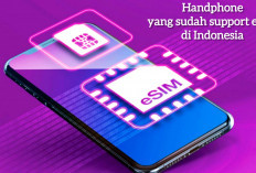 6 Daftar Handphone yang Sudah Support eSIM di Indonesia, Ada Apa Saja? Yuk Simak