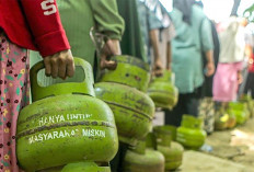 Gas LPG 3 Kg Langkah Ini Penjelasan Kadisperindag Kota Lubuk Linggau