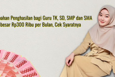 Kabar Gembira! Tambahan Penghasilan bagi Guru TK, SD, SMP dan SMA Sebesar Rp300 Ribu per Bulan, Cek Syaratnya 