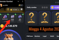 Sudah Keluar Combo Harian Hamster Kombat Hari Ini 4 Agustus 2024, Garap Hingga 5 Juta Koin Gratis