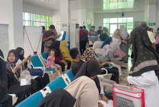 Ratusan Honorer Serbu RSUD Siti Aisyah, Medical Check Up untuk Kelengkapan Pemberkasan PPPK Paruh Waktu