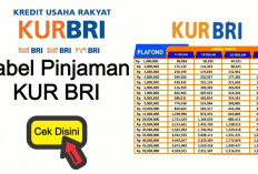 Pinjaman KUR BRI Kian Diminati dengan Bunga Rendah, Agus : Ingin Buka Pangkalan Gas 