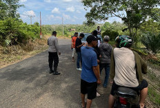 Begal Rampas Motor PPPK Paruh Waktu di Lubuk Linggau: Nabung Bertahun-tahun untuk Beli Motor Cash