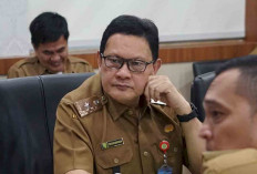 Sumsel Health Tourism Bawa Sumsel Lebih Maju Dalam Layanan Medis 