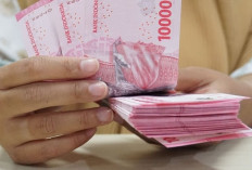 Baru Jadi CPNS? Intip Dulu Gajimu Bulan Juni 2025, Bisa Bikin Minder PNS Aktif