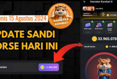 Baru Sandi Harian Hamster Kombat Hari Ini 15 Agustus 2024, Dapatkan hingga Jutaan Koin Gratis 