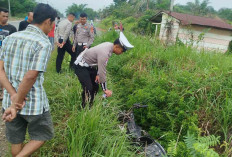 Hendak ke Kebun Petani di Muratara Alami Lakalantas Hingga Meninggal Dunia 