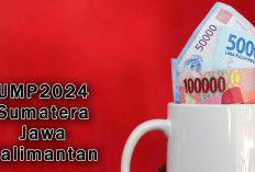 UMP 2024 Masing-Masing Provinsi, Berikut Perbandingan UMP di Sumatera, Jawa, Kalimantan