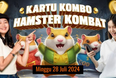 Baru Combo Harian Hamster Kombat Hari Ini 28 Juli 2024, Garap Hingga 5 Juta Koin Gratis