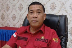 Bupati Muratara Minta Camat dan Kades Hentikan Alat Berat yang Digunakan untuk Nambang Emas Ilegal 
