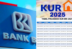 Daftar Plafon dan Angsuran KUR BRI 2025, Platfom Rp30 Juta Cukup Rp 500 Ribuan