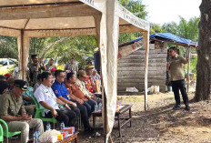 Bupati Muratara Targetkan Optimalisasi Lahan Pertanian 