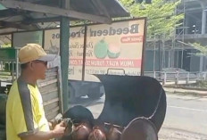 Warga A Widodo Musi Rawas Jual Kelapa Bakar Rempah Kaya Khasiat