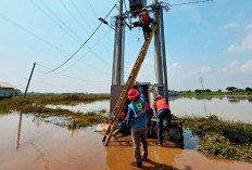 100% Jaringan Listrik PLN Telah Normal Kembali Pascabanjir Jabodebek