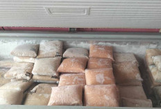 Permintaan Ikan Giling Meningkat Jelang Lebaran, Warga Borong hingga 10 Kilogram untuk Stok Olahan