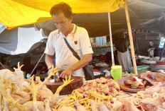 Harga Ayam di Lubuk Linggau Melejit, Pedagang Pasar Inpres Mengeluh