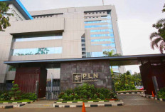 Berapa Gaji Pegawai PT PLN Sesuai Jabatan, Serta Segini Tambahan dengan Kategori Grade