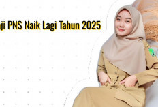 Kabar Gembira, Gaji PNS Naik Lagi Tahun 2025 Yuk Cek Besarannya untuk Tiap Golongan