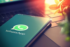 WhatsApp Hentikan Dukungan untuk Beberapa Handphone Mulai 1 Januari 2025, Ini Daftarnya