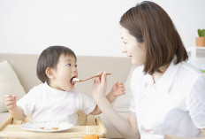 Agar Anak Makan Lahap Tanpa Drama: Ini yang Harus Diterapkan oleh Orang Tua  