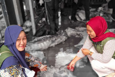 Hasil Pengawasan Penyembelihan Hewan Kurban, Dinas Pertanian Lubuk Linggau Belum Temukan Kasus Infeksi