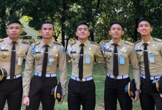 Lulus Sekolah Kedinasan 2025 Kerja di Mana? Ini Penempatan dan Ikatan Dinasnya