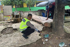 Diinformasikan Pria di Lubuk Linggau Ini jadi Korban Tabrak Lari. Faktanya, Epilepsi Kambuh dan Alami Kejang