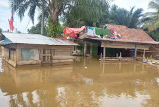 5 Desa di Muratara Masih Banjir, Jembatan Rusak Segera Diperbaiki