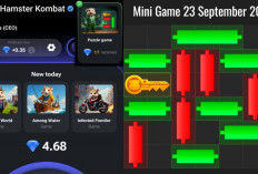 Kunci Mini Game Hamster Kombat Hari Ini Senin 23 September 2024, Ini Polanya