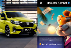 Update Harga Tukar 124.000 Koin Hamster Kombat 22 September 2024, Setara Honda Brio?