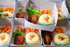 7 Inspirasi Menu Lezat Nasi Box Untuk Acara Aqiqah Yang Mudah Dibuat