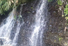 Curug Pasir: Permata Tersembunyi Di Lubuk Linggau Menanti Pengelolaan Untuk Menjadi Destinasi Wisata