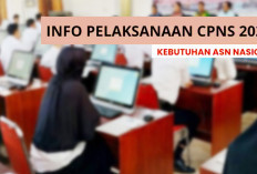 Seleksi CPNS 2025 Ditiadakan atau Ditunda? Ada 3 Opsi, Pelamar Tetap Harus Lakukan Hal ini 