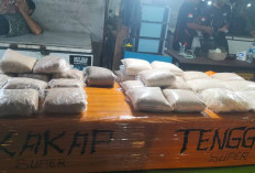 Ikan Tenggiri Giling Favorit Warga untuk Aneka Olahan Lezat